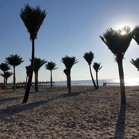 Apartamento Sea View 1 *