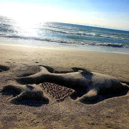 Sea View 1